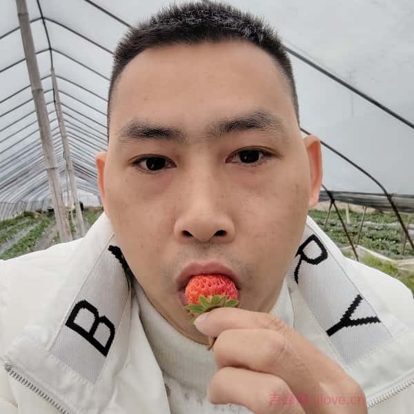 峡江征婚相亲网